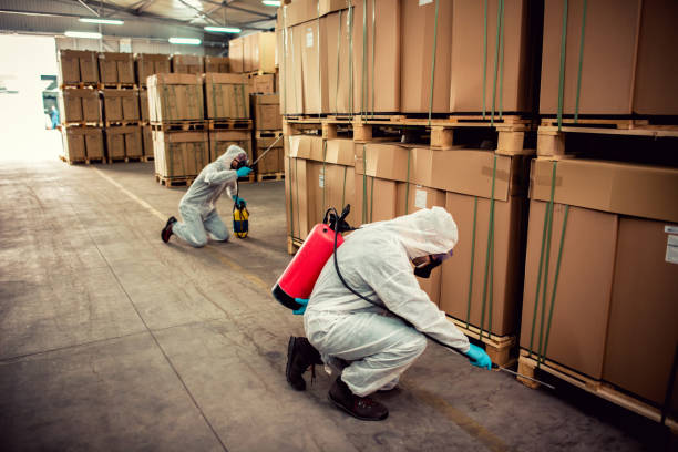 Best Mosquito Control Services  in Mitchell, NE