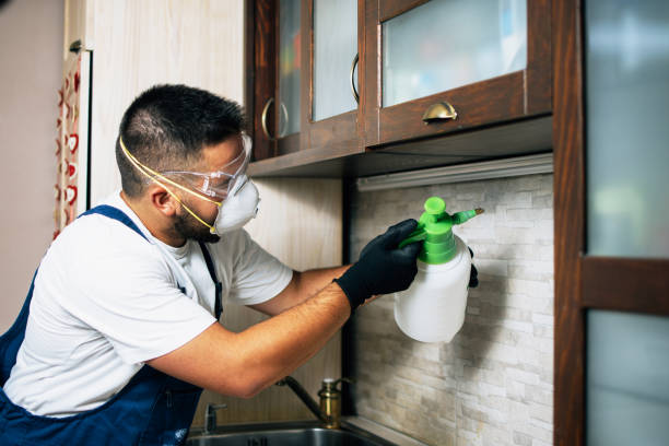 Best Pest Removal Services  in Mitchell, NE