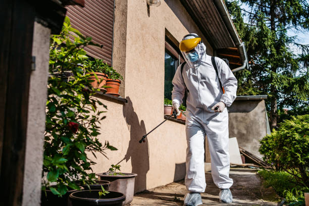 Best Bed Bug Extermination  in Mitchell, NE