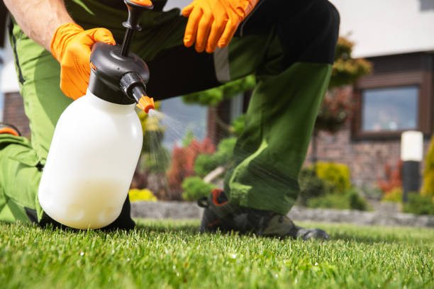 Best Best Pest Control Companies  in Mitchell, NE