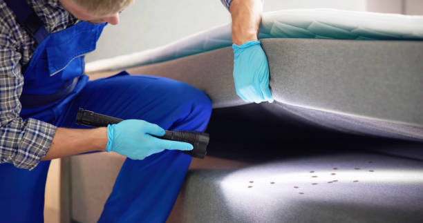 Best Emergency Pest Control  in Mitchell, NE