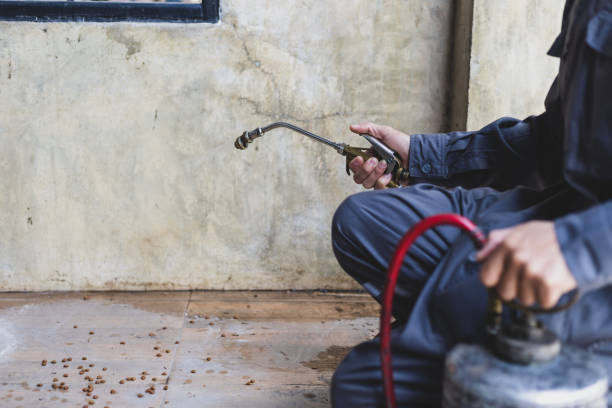 Best Local Pest Control Services  in Mitchell, NE